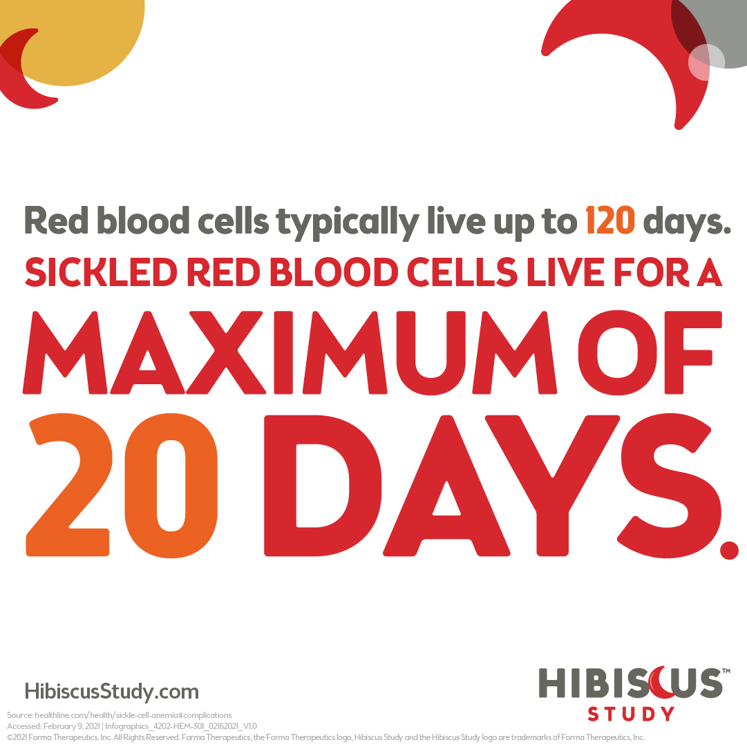 Red blood cells typically live up to 120 days. Sickled red blood cells live for a maximum of 20 days.